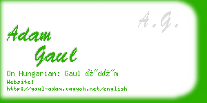 adam gaul business card